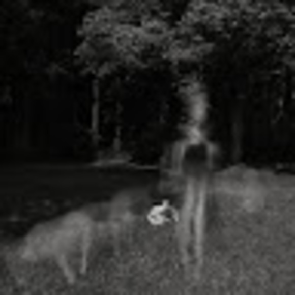 Meet your Posher, Stacy - Picture 1 of 1